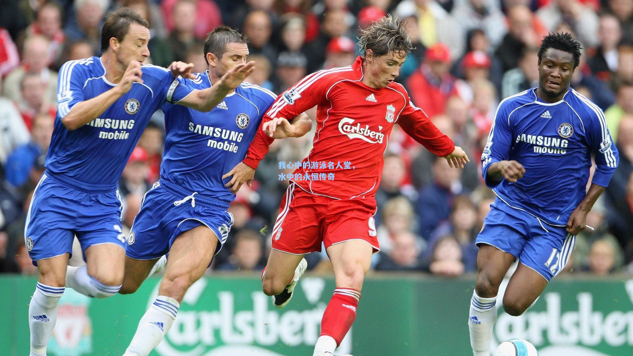 我心中的游泳名人堂,水中的永恒传奇